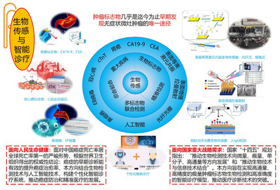 信息學(xué)院王琦教授成功獲批國(guó)家科技重大專項(xiàng)，聚焦信息科技前沿技術(shù)開發(fā)